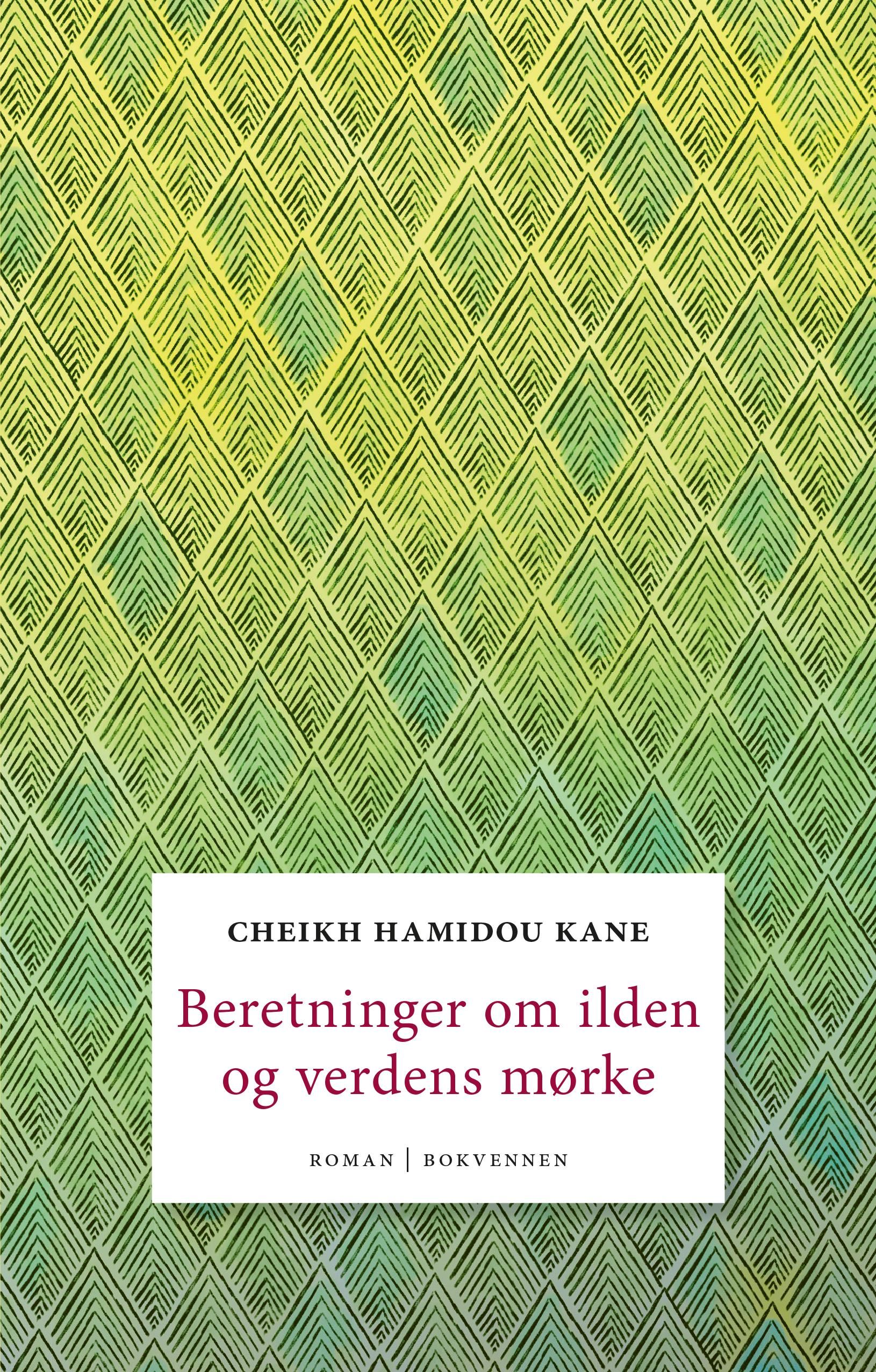 Beretninger om ilden og verdens mørke - roman