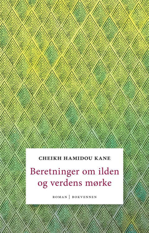 Beretninger om ilden og verdens mørke - roman