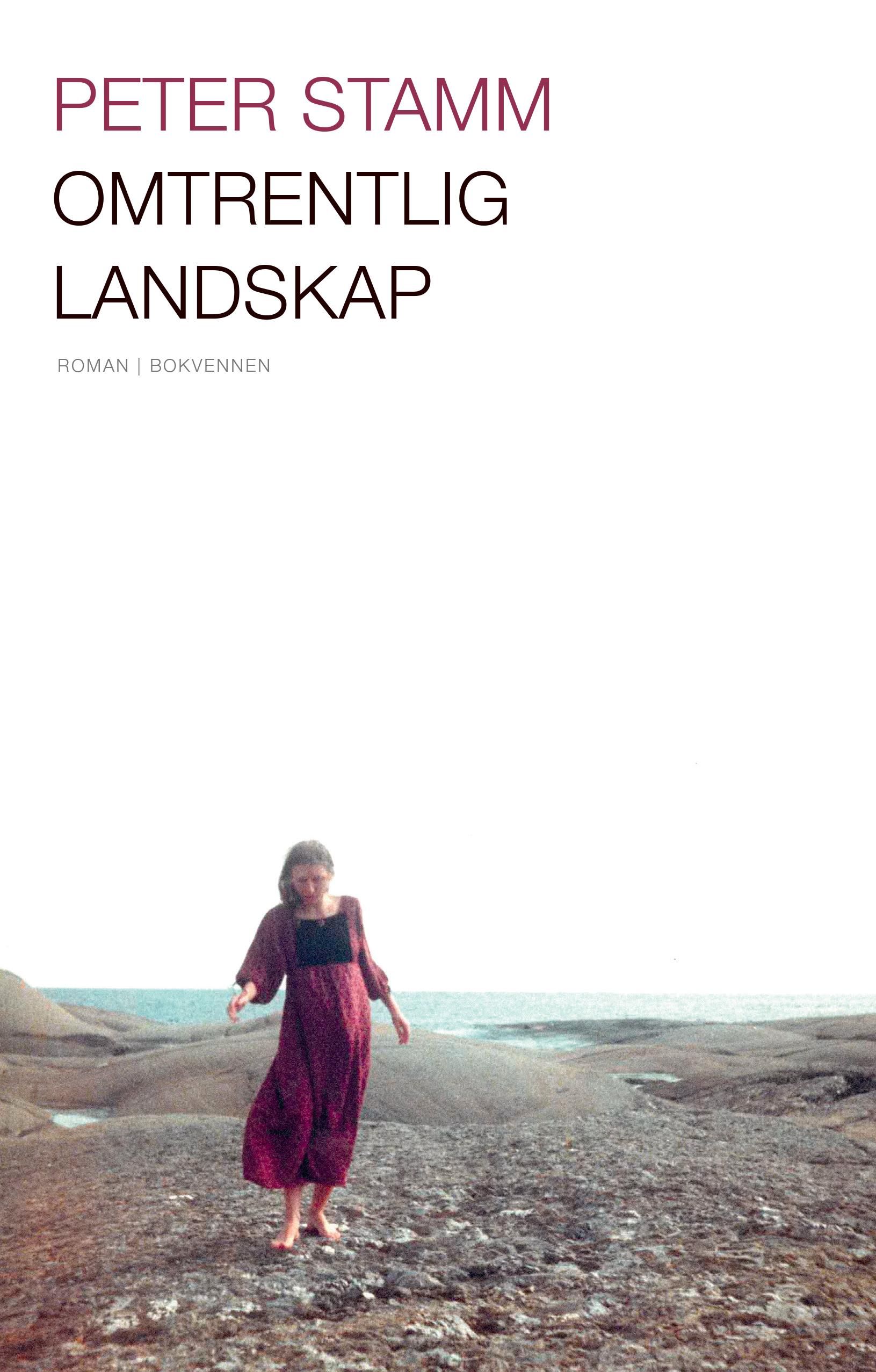 Omtrentlig landskap - roman