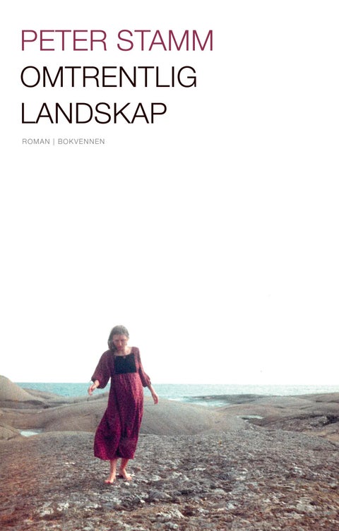 Omtrentlig landskap - roman
