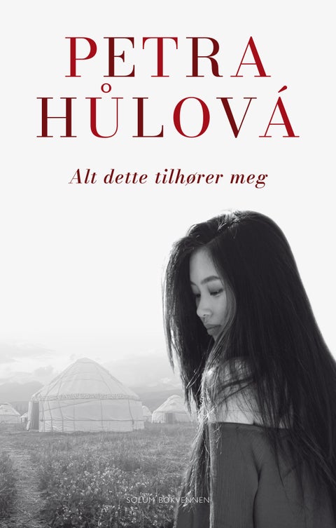 Alt dette tilhører meg - roman