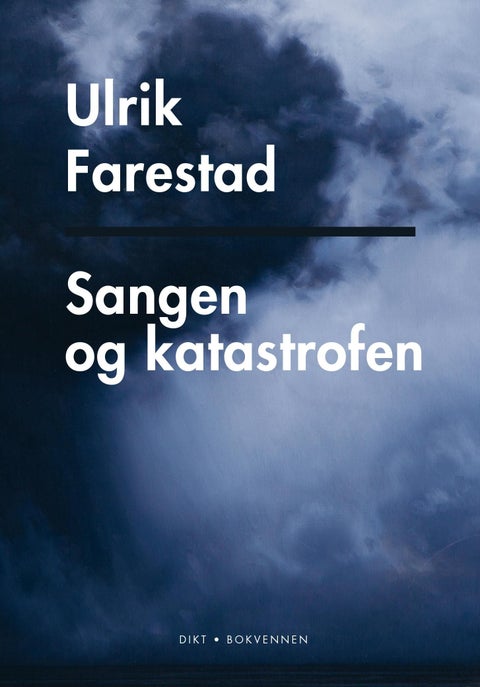 Sangen og katastrofen - dikt