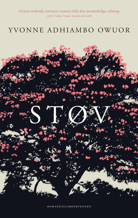 Støv - roman