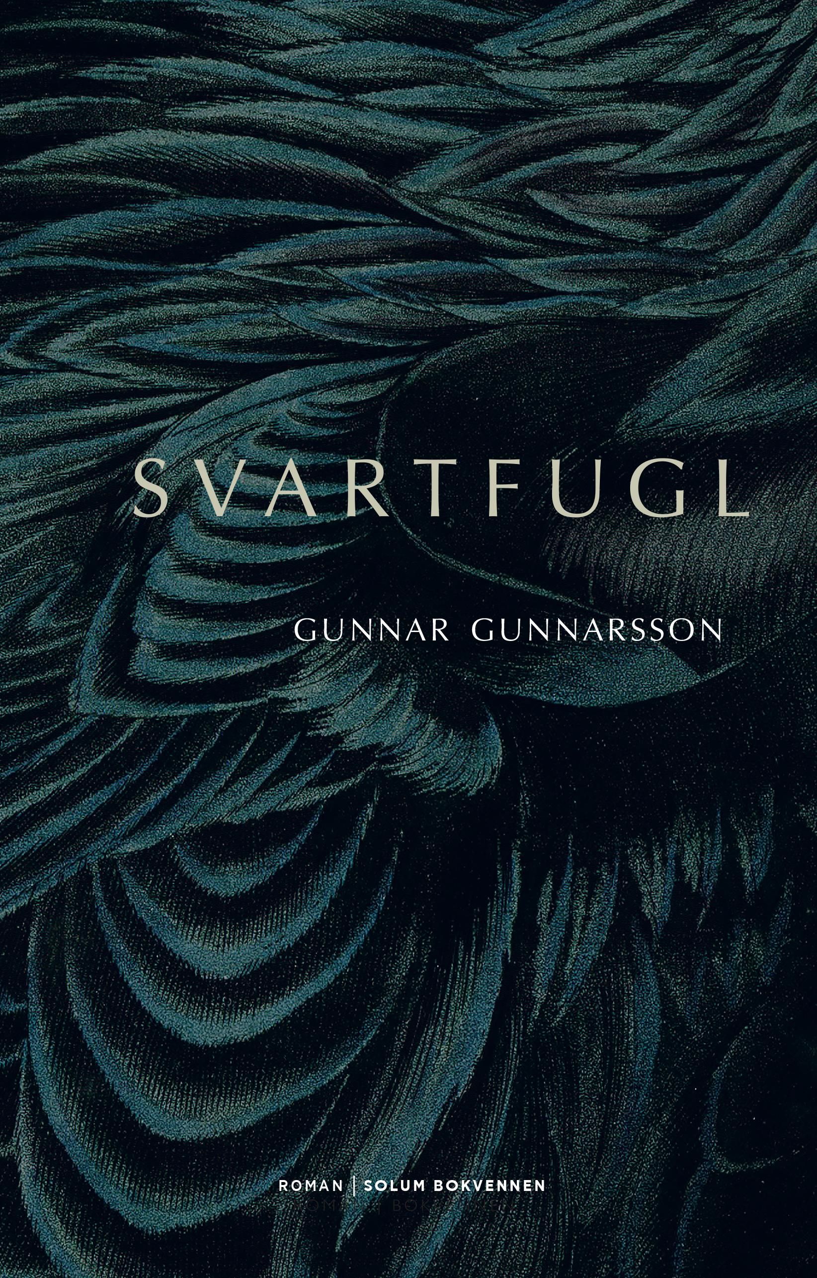 Svartfugl - roman