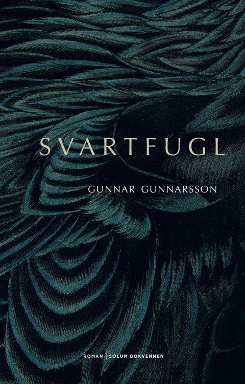 Svartfugl - roman