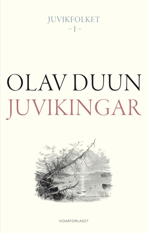Juvikingar - roman