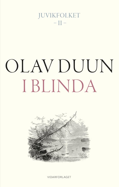 I blinda - roman
