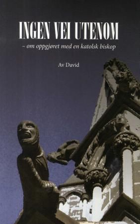 Ingen vei utenom - om oppgjøret med en katolsk biskop