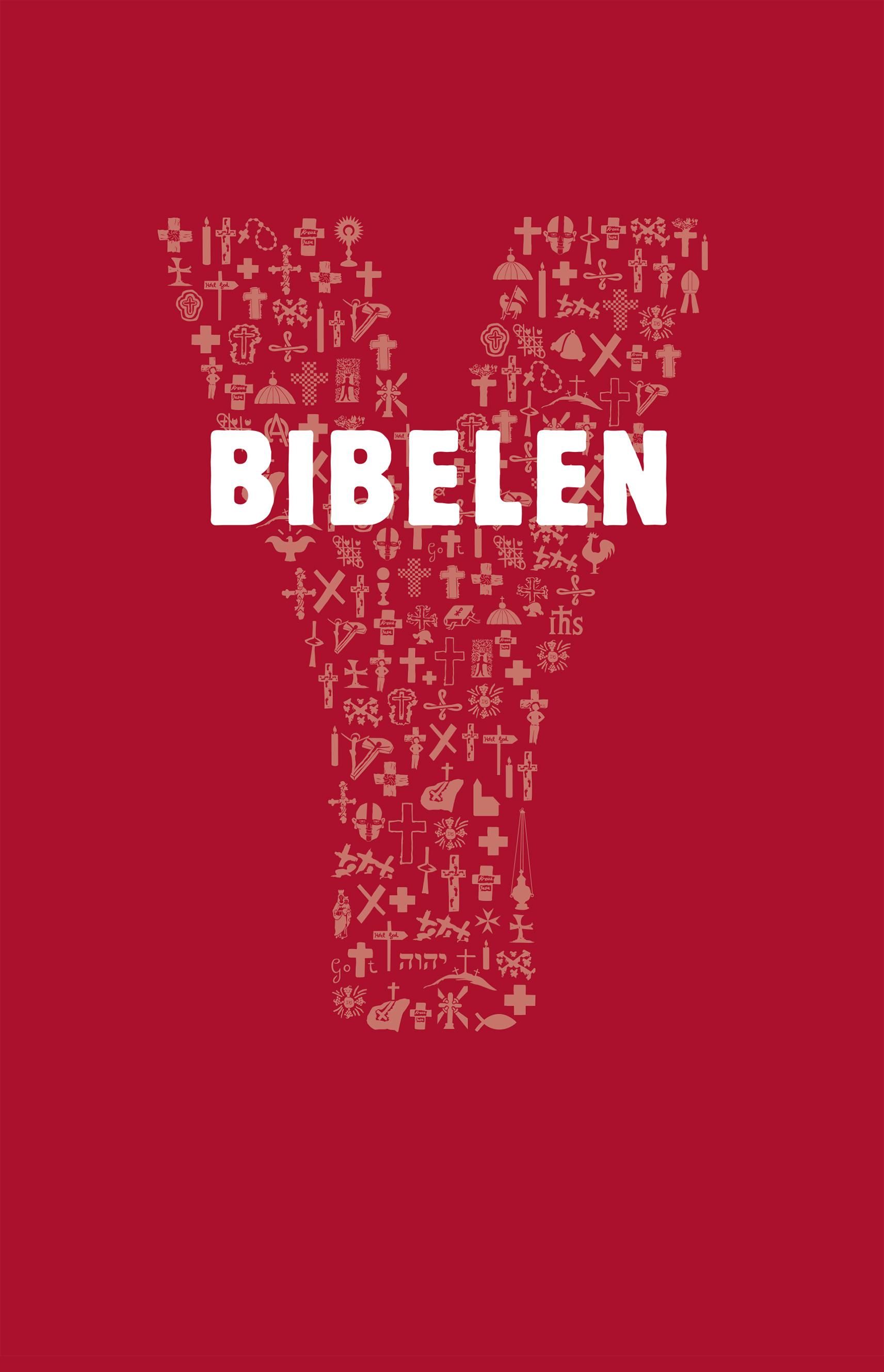 Bibelen - katolsk ungdomsbibel : en introduksjon til Bibelen med utvalgte bibelske tekster