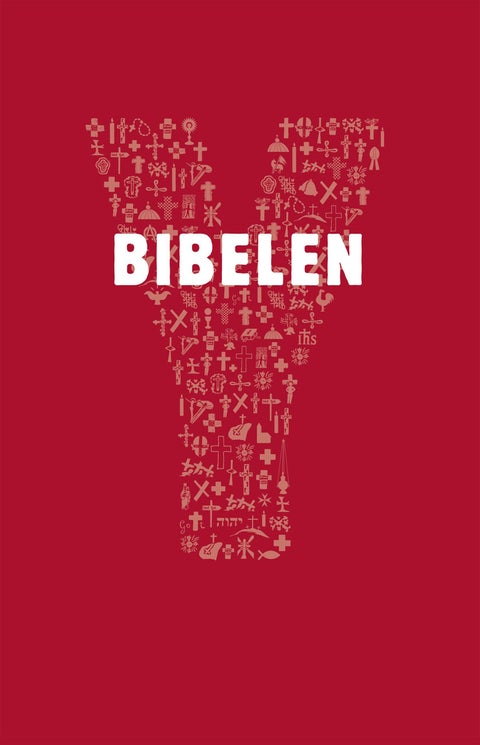 Bibelen - katolsk ungdomsbibel : en introduksjon til Bibelen med utvalgte bibelske tekster