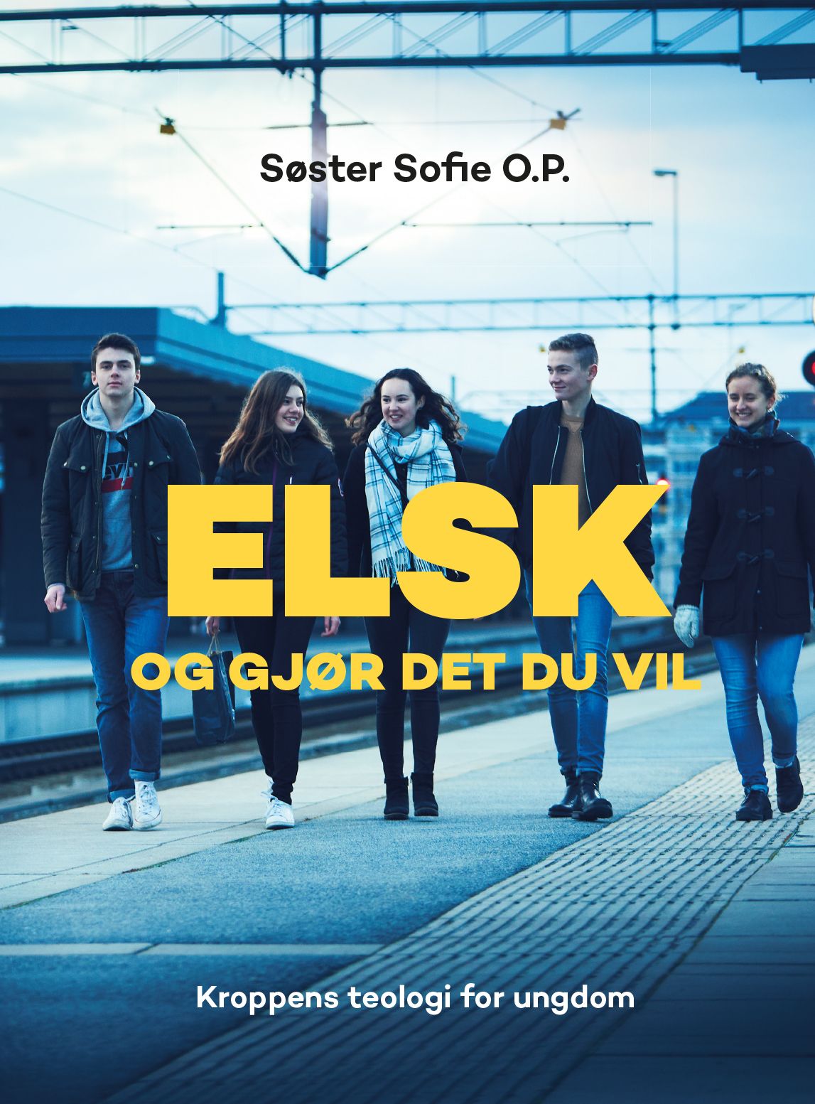 Elsk og gjør det du vil - kroppens teologi for ungdom