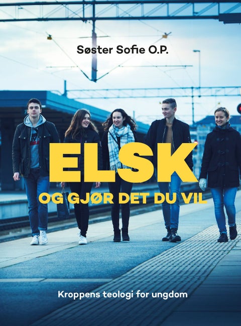 Elsk og gjør det du vil - kroppens teologi for ungdom