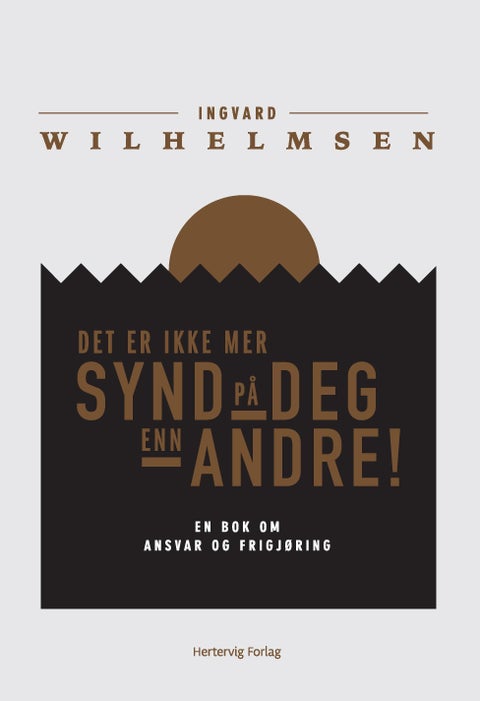 Det er ikke mer synd på deg enn andre! - en bok om ansvar og frigjøring