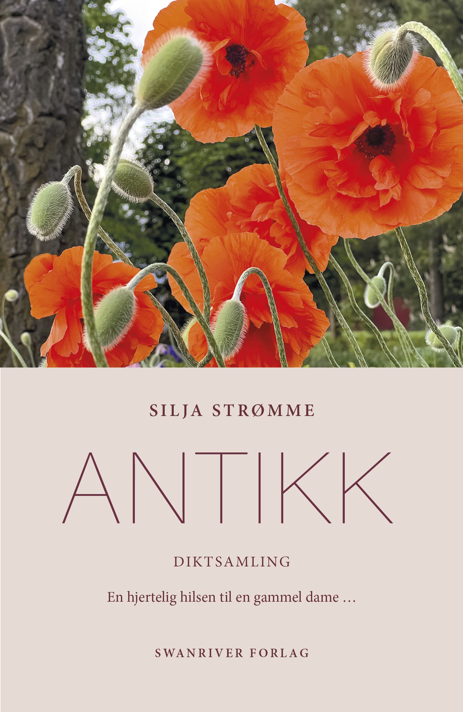 Antikk - diktsamling - en hjertelig hilsen til en gammel dame