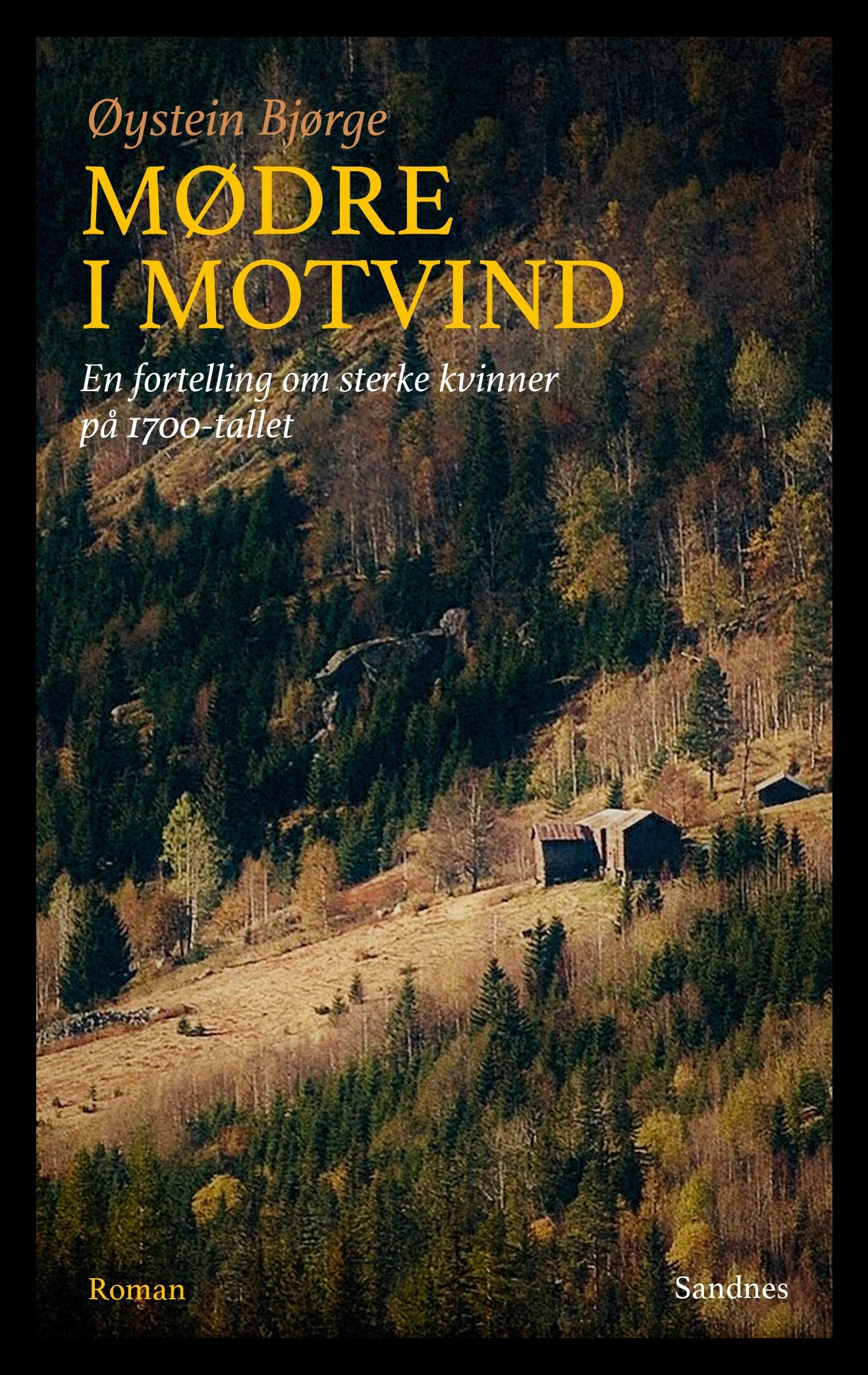 Mødre i motvind - en fortelling om sterke kvinner på 1700-tallet : roman