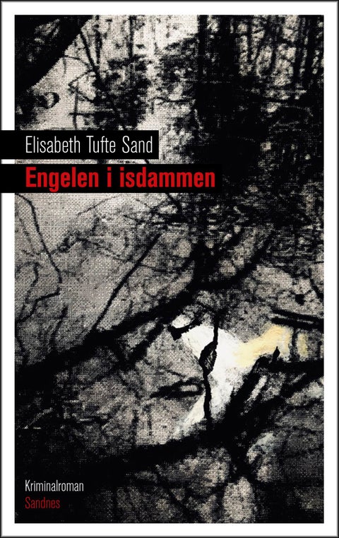 Engelen i isdammen - kriminalroman