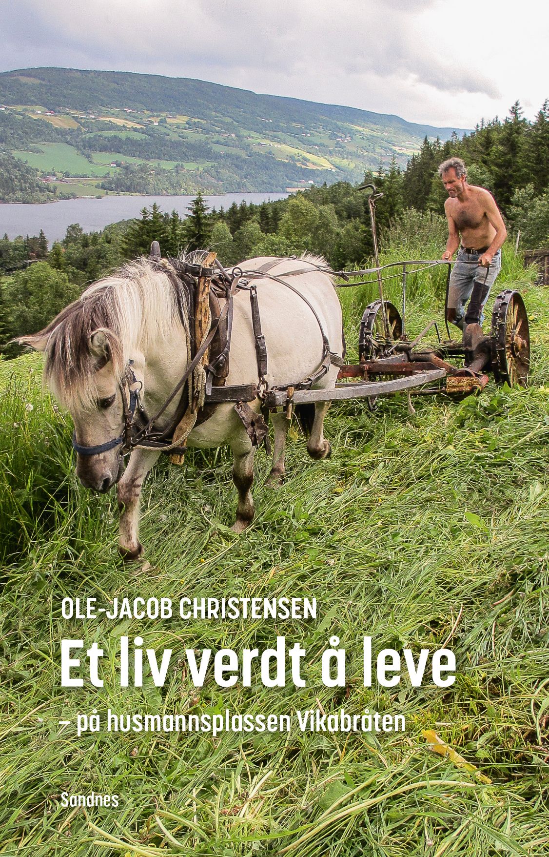 Et liv verdt å leve - på husmannsplassen Vikabråten