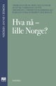 Hva nå - lille Norge?