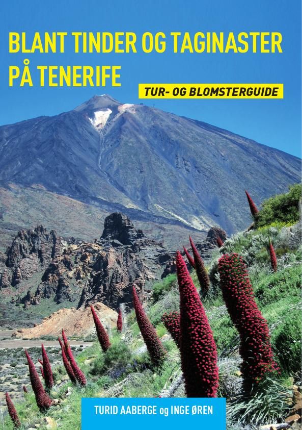 Blant tinder og taginaster på Tenerife - tur og blomsterguide