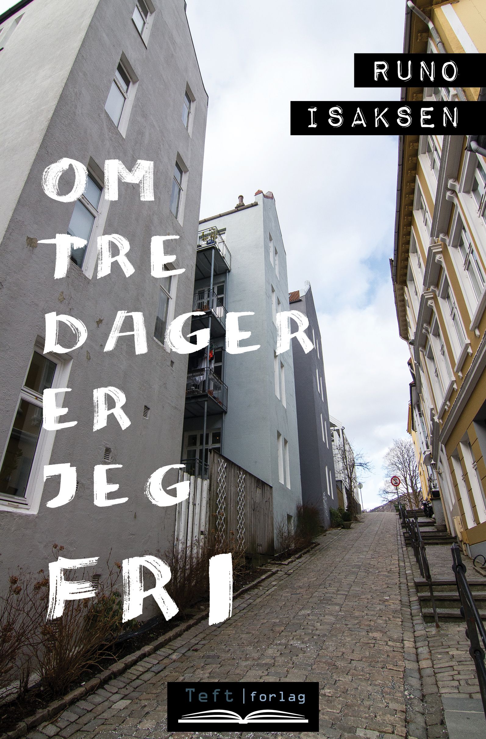 Om tre dager er jeg fri - roman