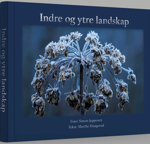 Indre og ytre landskap