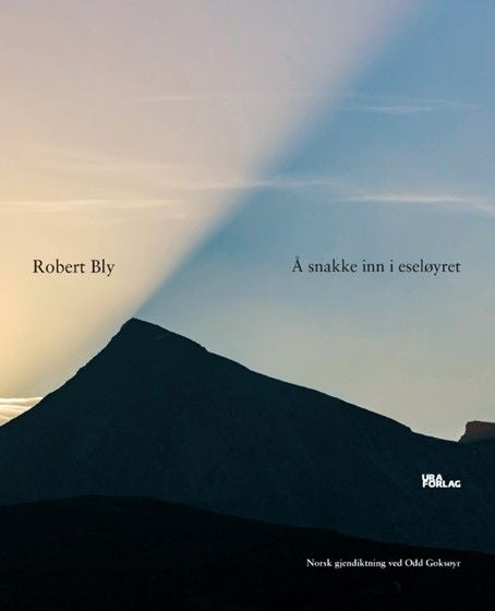 Å snakke inn i eseløyret - dikt