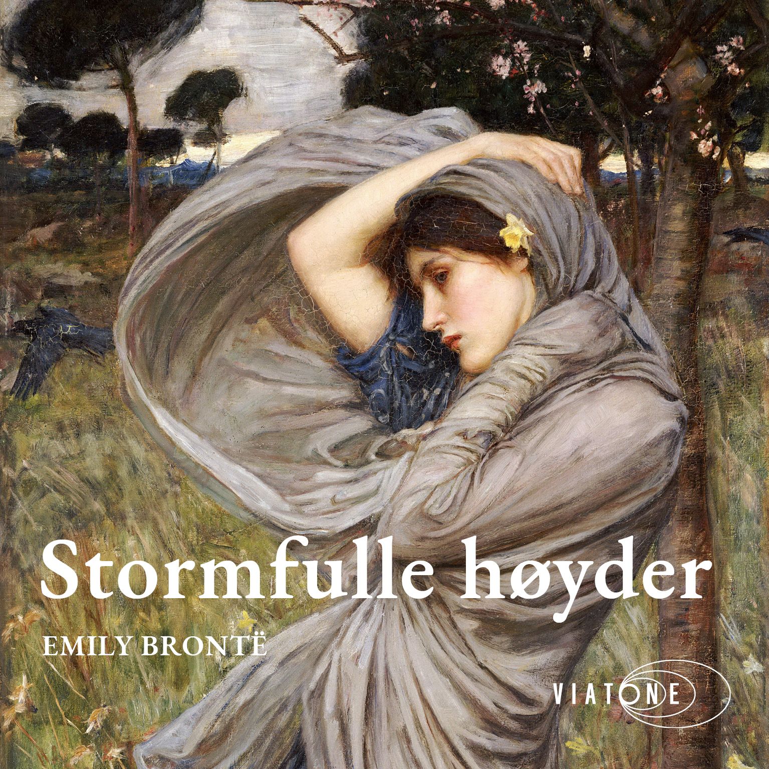 Stormfulle høyder