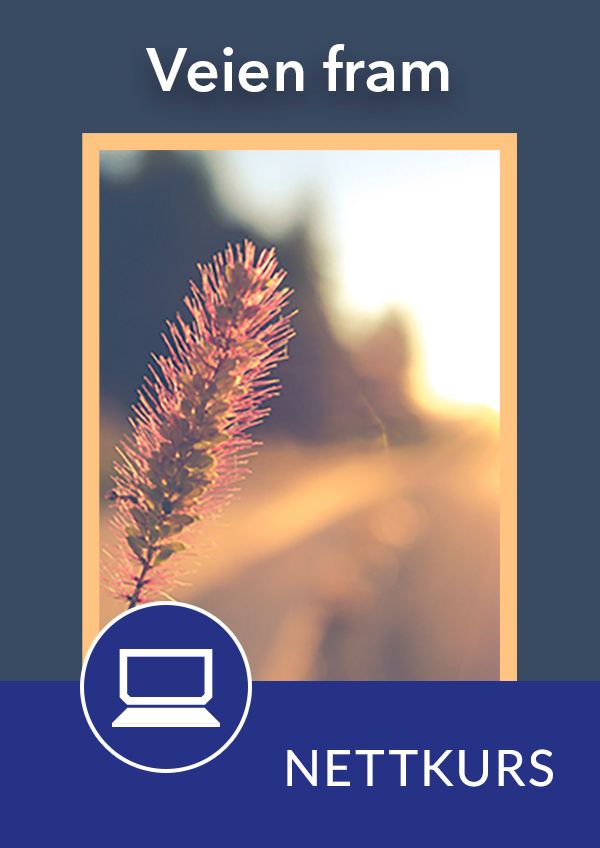 Veien fram (årslisens)