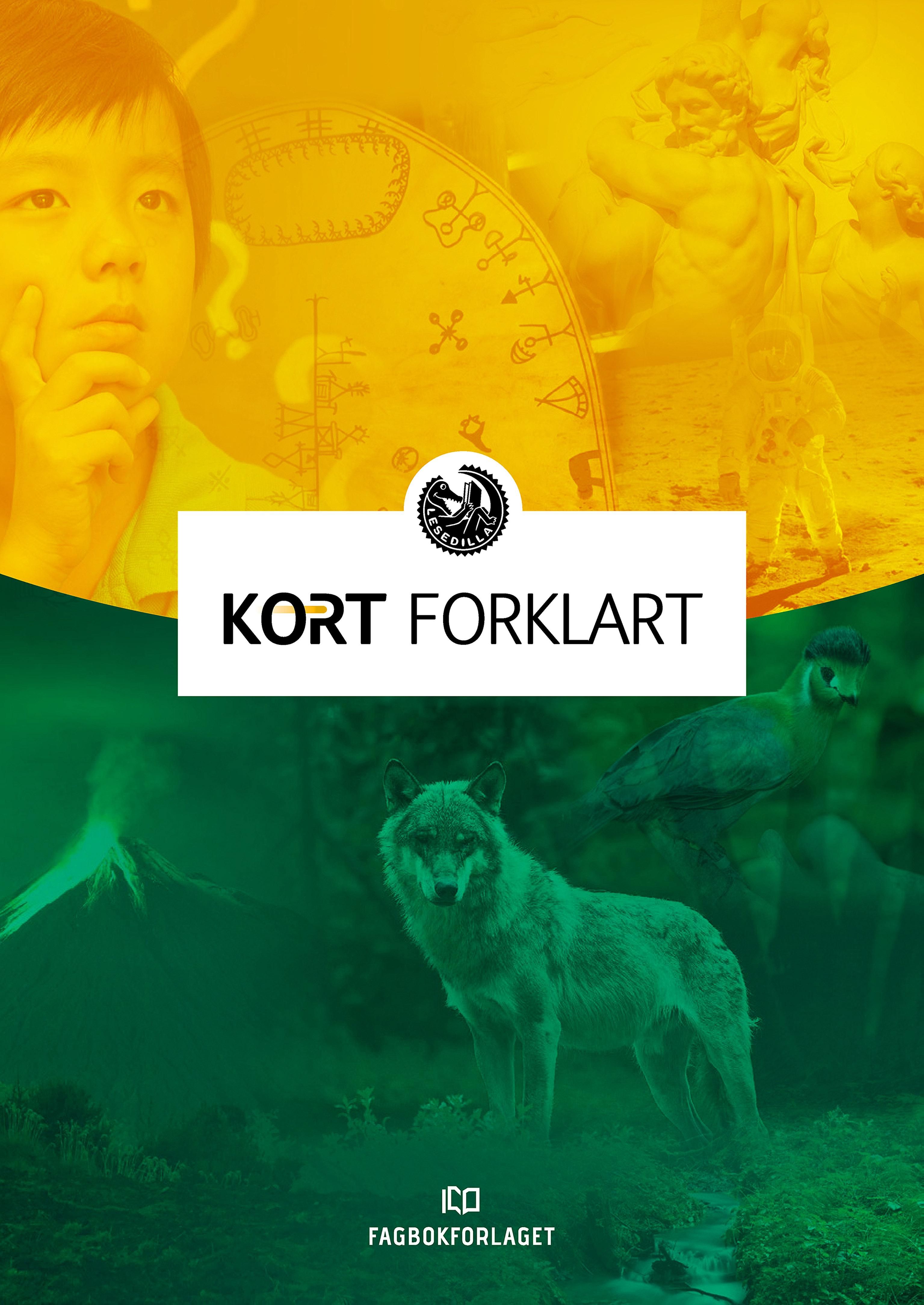 Lesedilla - kort forklart