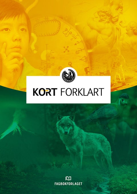 Lesedilla - kort forklart