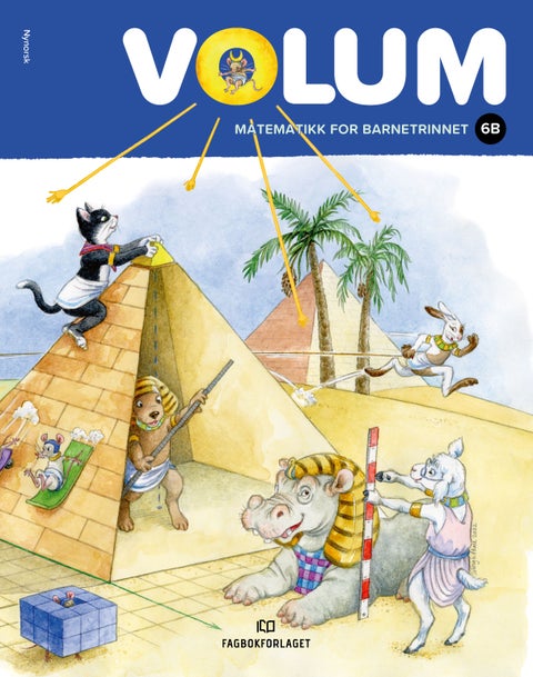 Volum 6B - Elevbok NYN