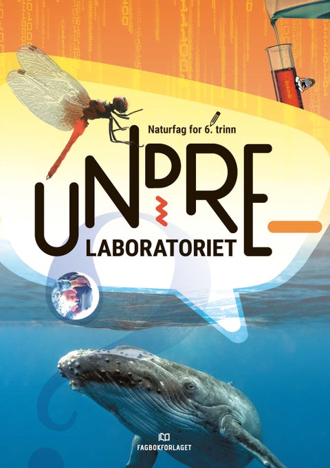 Undrelaboratoriet 6 - Elevbok : naturfag for mellomtrinnet