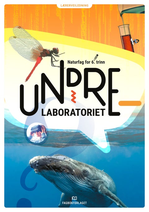 Undrelaboratoriet 6 - Lærerveiledning : naturfag for mellomtrinnet
