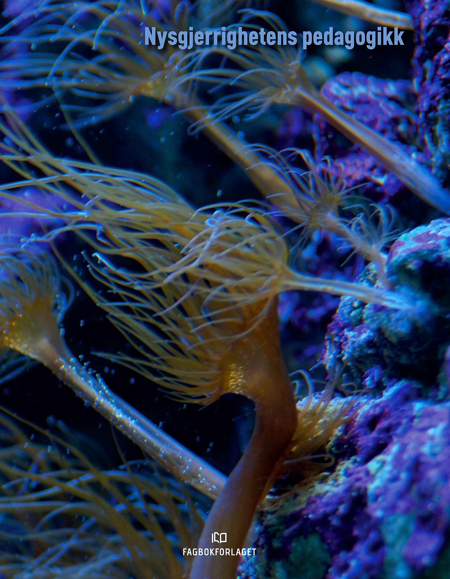 Nysgjerrighetens pedagogikk - om rasjonalitet i vitenskap, hverdagsliv, kommunikasjon og etikk