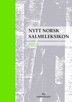Nytt norsk salmeleksikon - Bind IV : Kommentarer til Norsk salmebok 2013