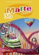 Matte overalt 3b