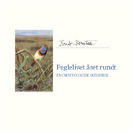 Fuglelivet året rundt - en ornitologisk skissebok