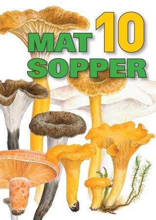 10 matsopper