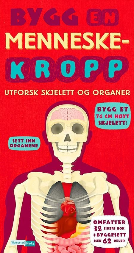 Bygg en menneskekropp - utforsk skjelett og organer