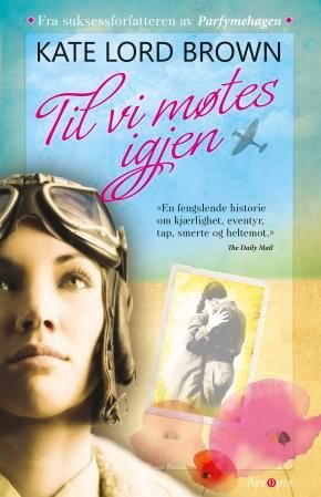 Til vi møtes igjen - roman