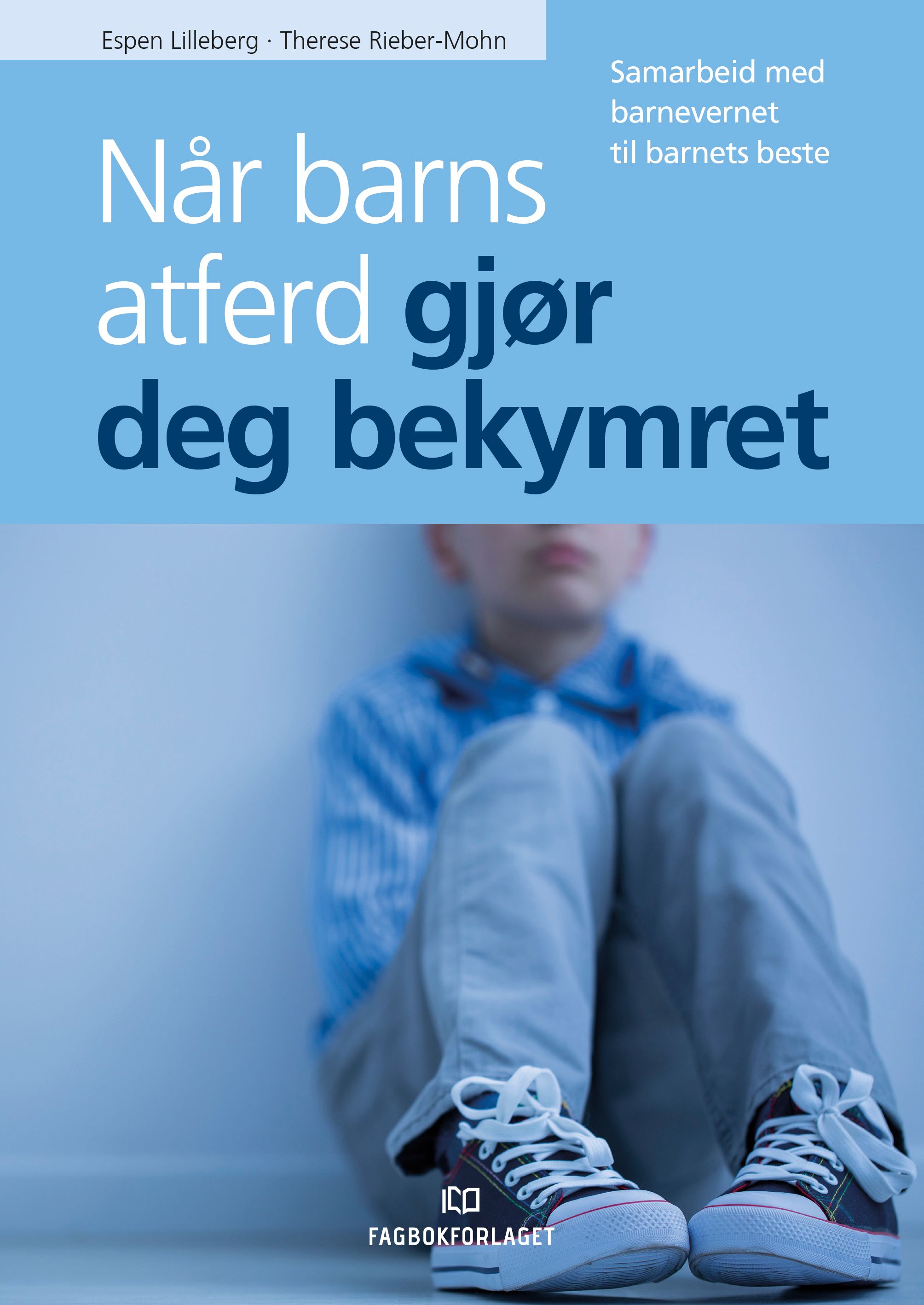 Når barns atferd gjør deg bekymret - samarbeid med barnevernet til barnets beste