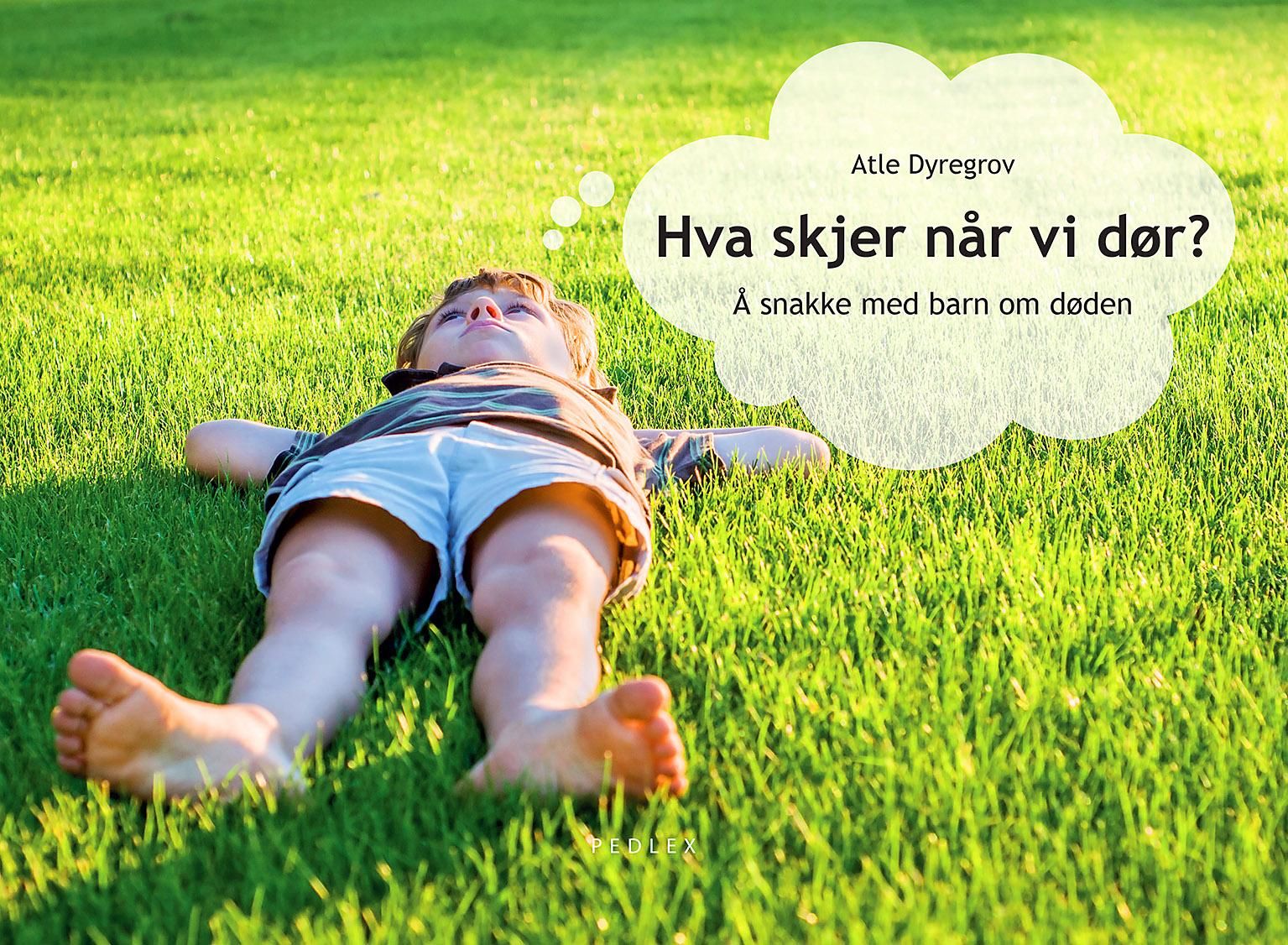 Hva skjer når vi dør? - å snakke med barn om døden