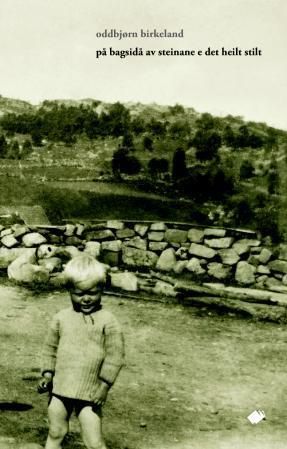 På bagsidå av steinane e det heilt stilt - dikt
