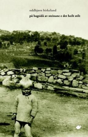 På bagsidå av steinane e det heilt stilt - dikt