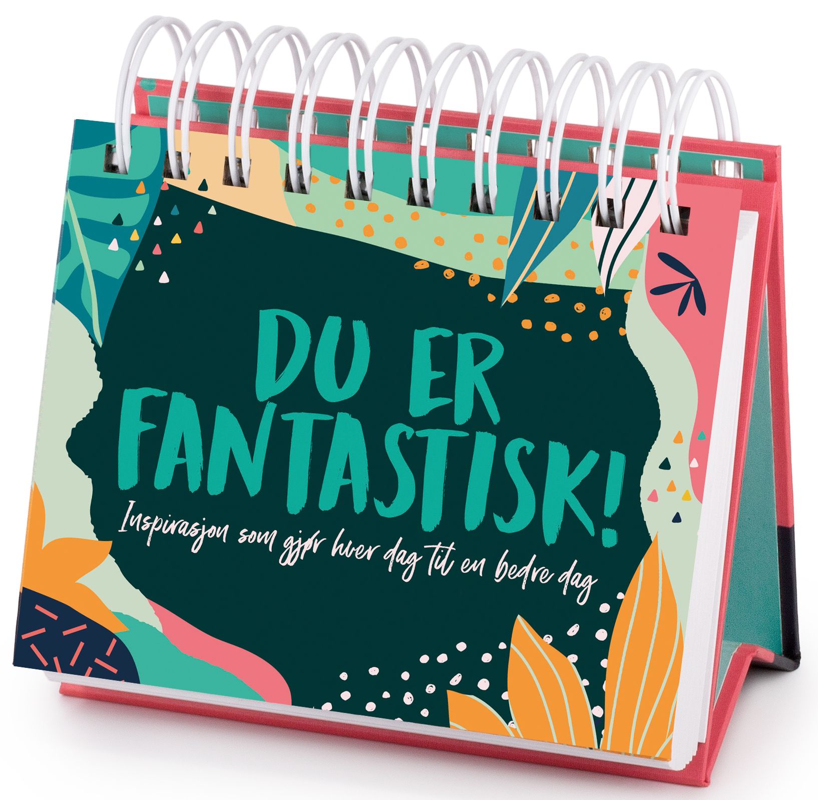 Du er fantastisk! - inspirasjon som gjør deg til en bedre deg