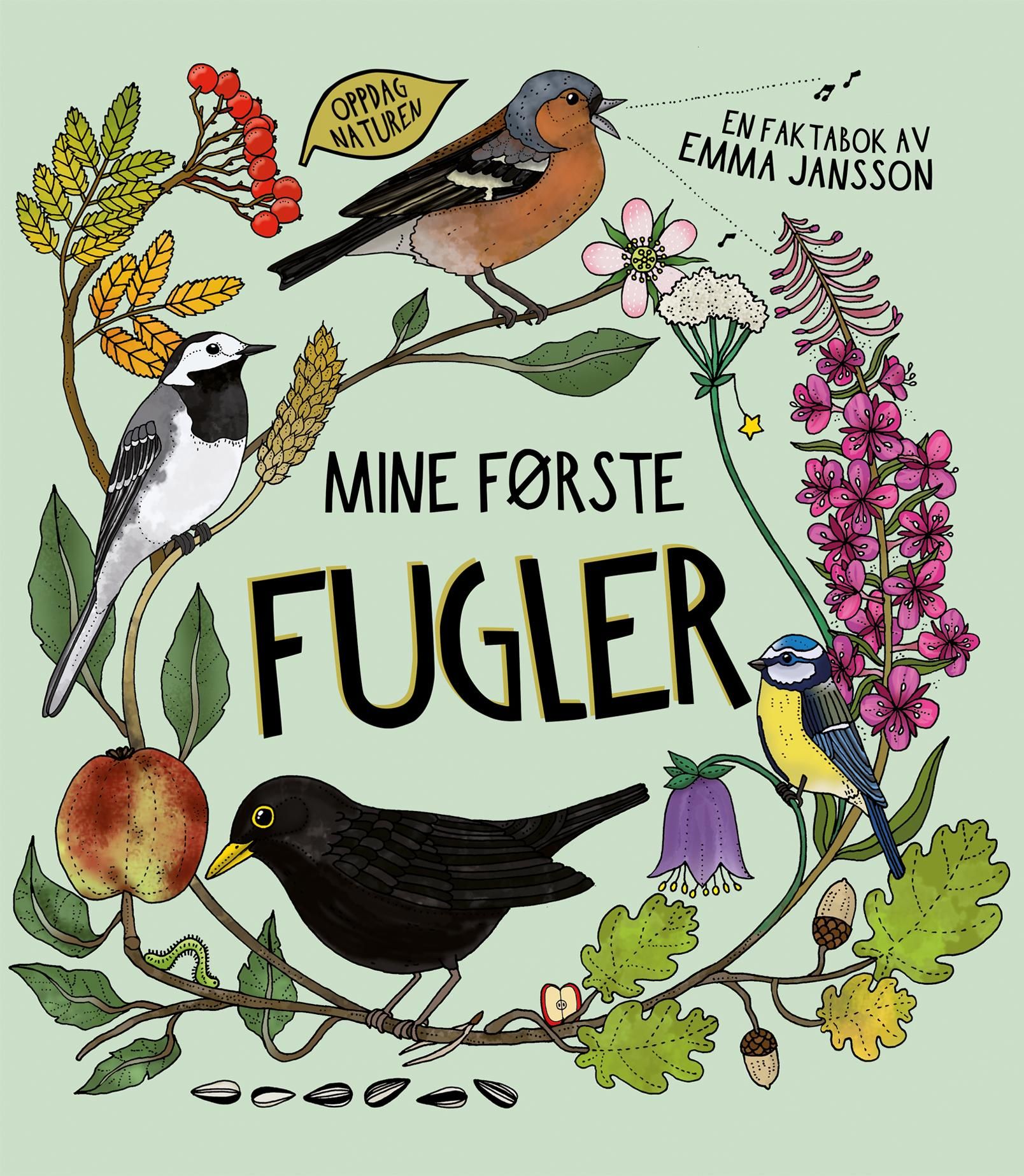 Mine første fugler - en faktabok