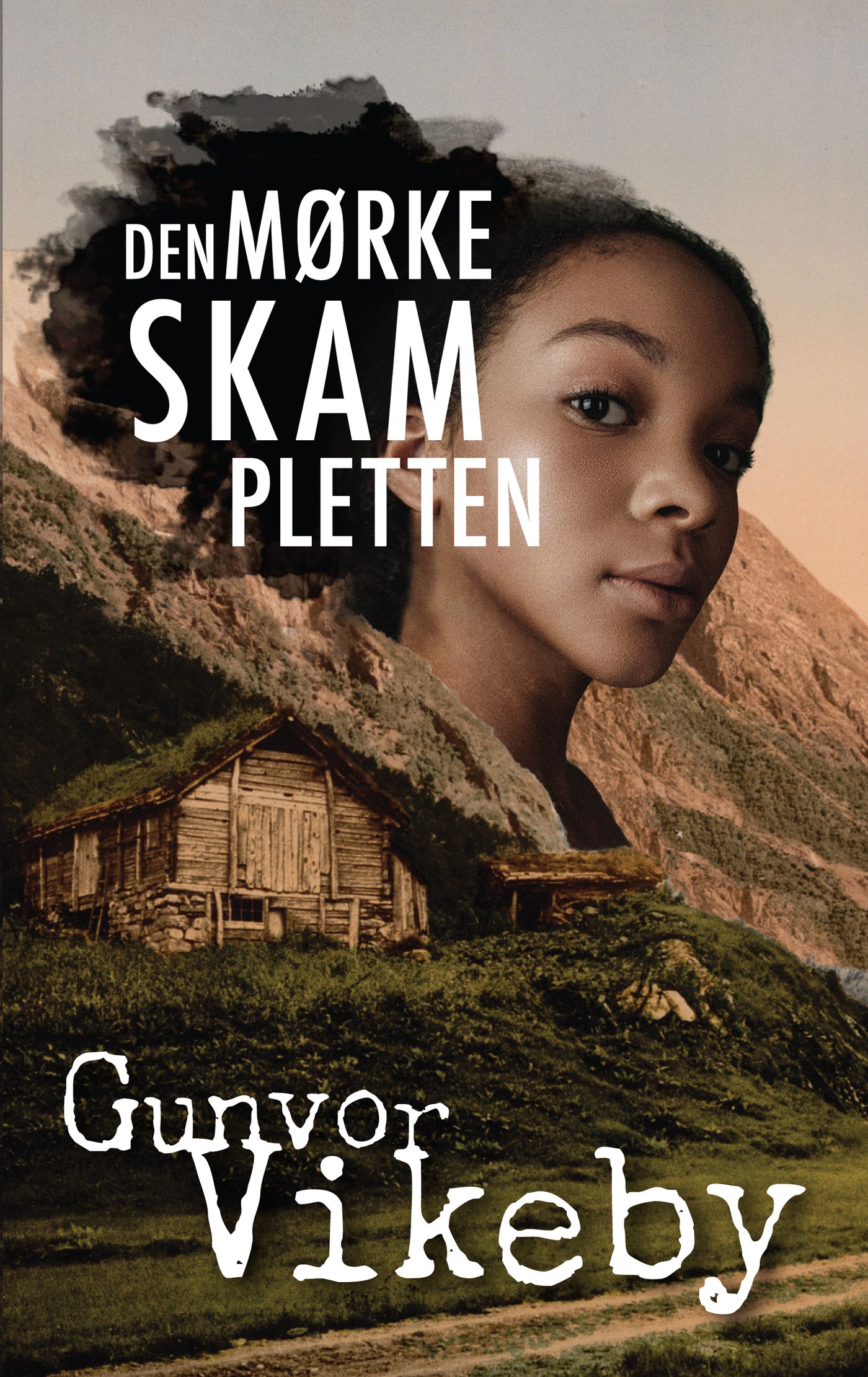Den mørke skampletten - roman