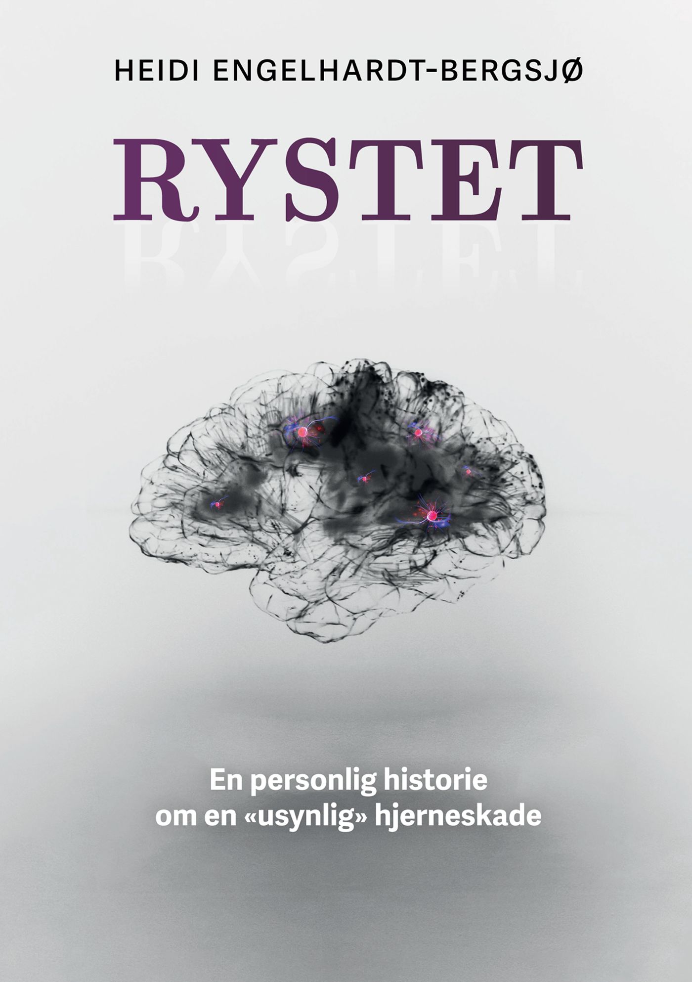 Rystet - en personlig historie om en "usynlig" hjerneskade