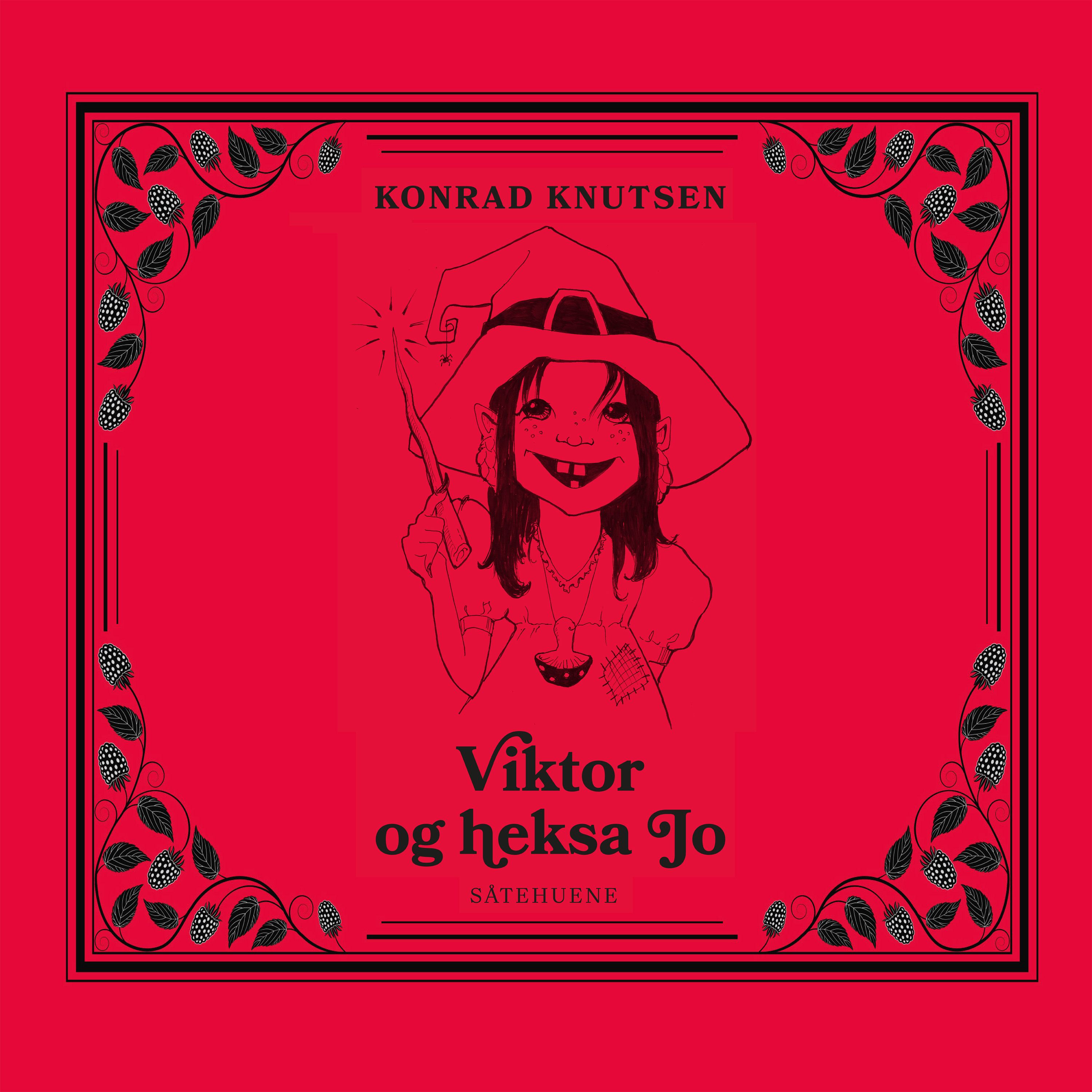 Viktor og heksa Jo - såtehuene