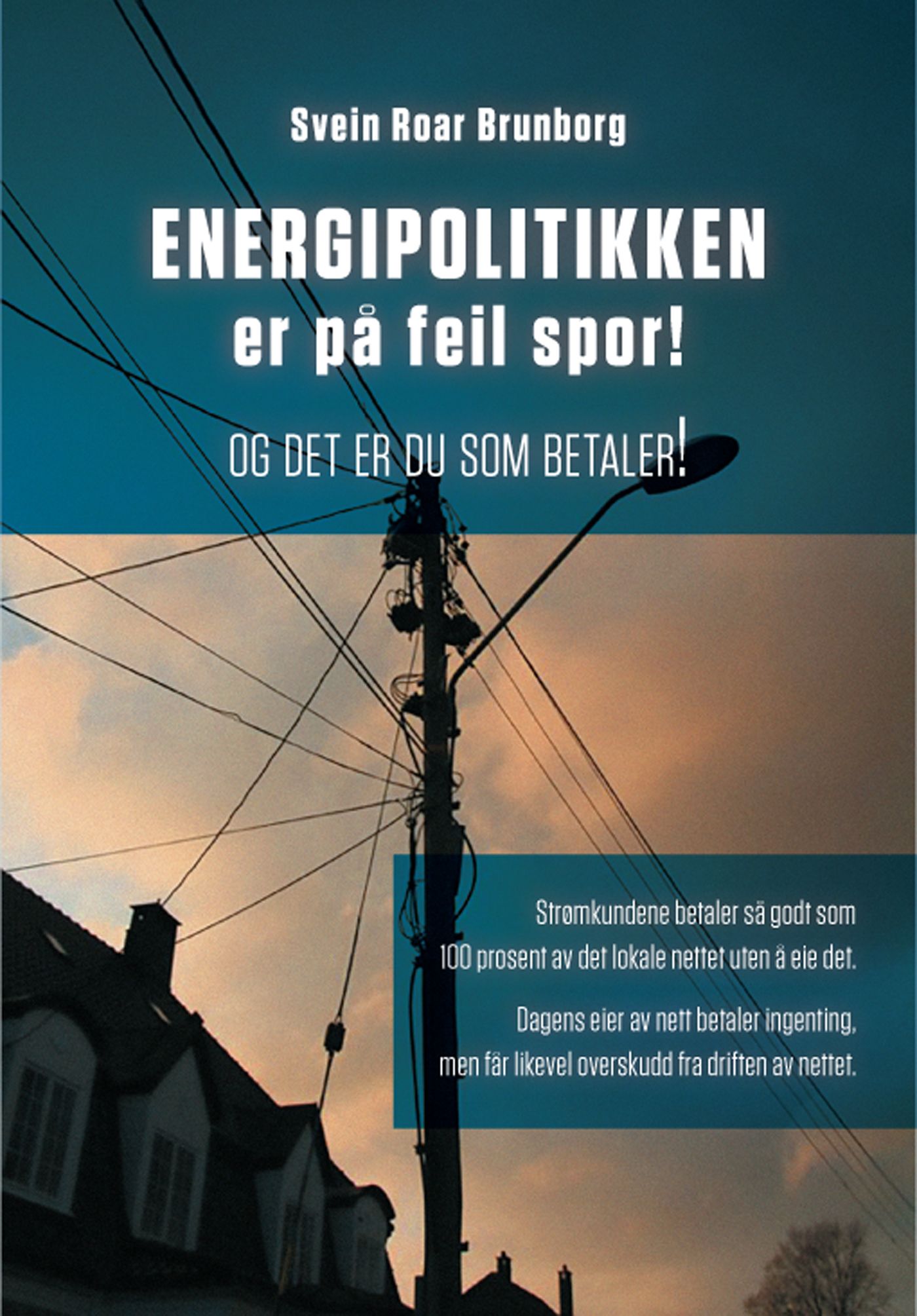 Energipolitikken er på feil spor! - og det er du som betaler!